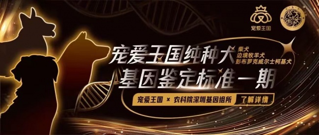 《纯种犬品种基因标准》共建计划 正式发布 品种标准从外观表型向基因科学的模式升级
