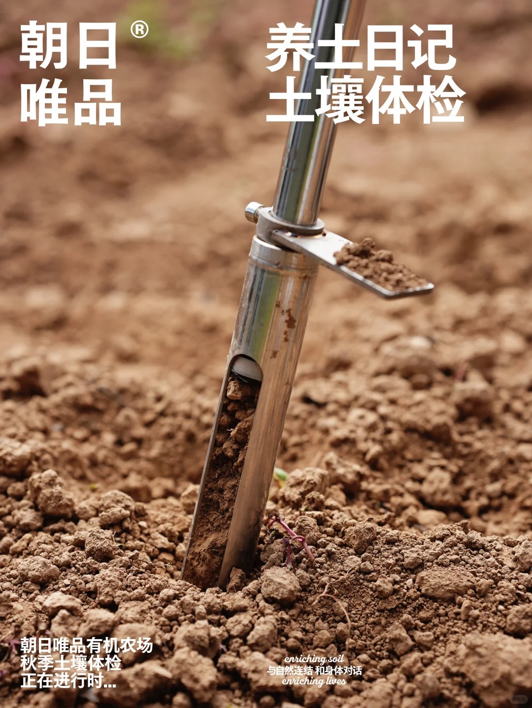 从这3个品牌，读懂土地想教会我们的「慢与真」