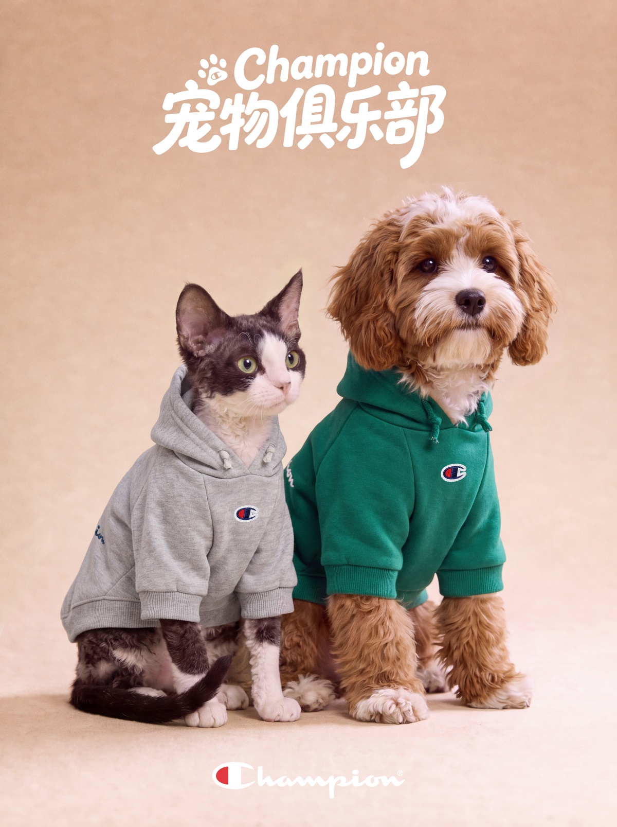 Champion 推出首个宠物系列，以百年运动基因加冕每一次陪伴